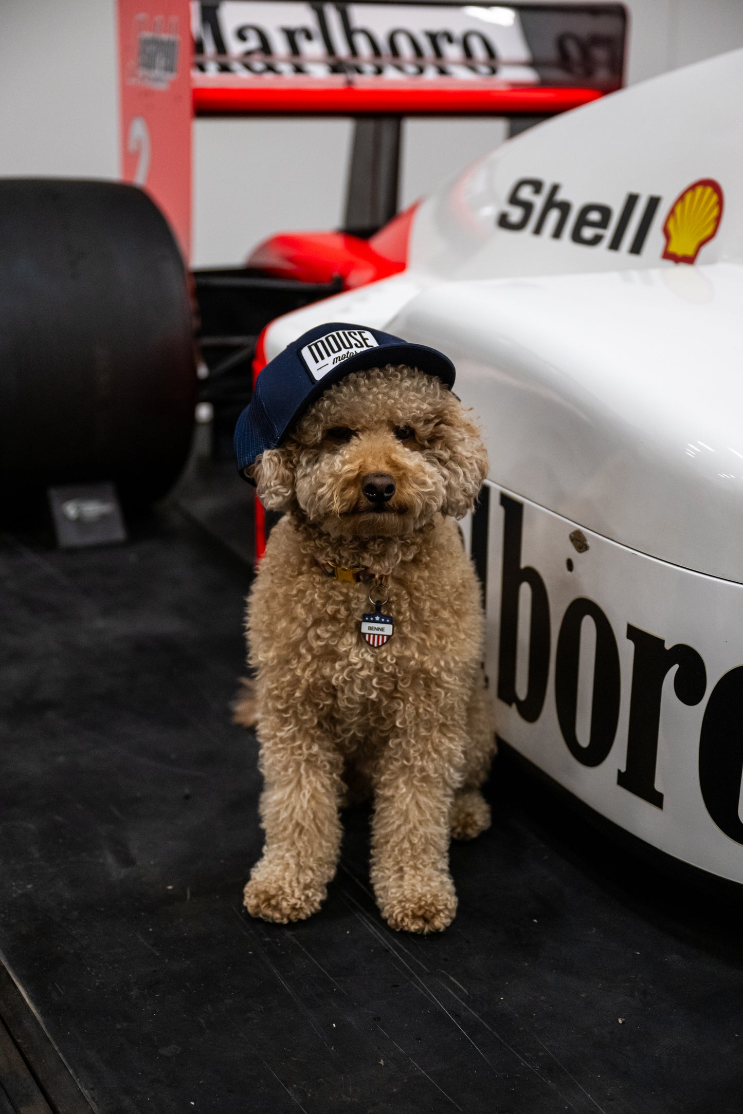 Mouse Motors Hat